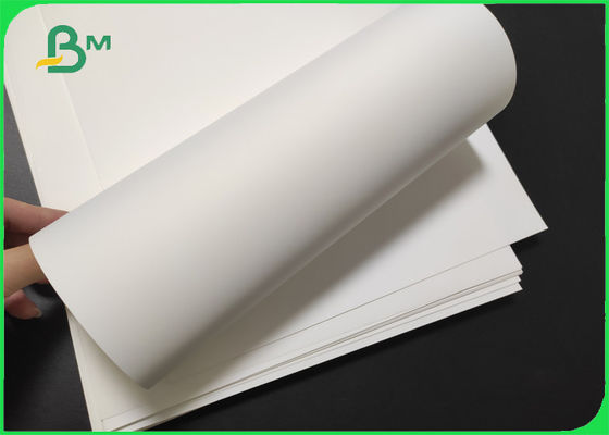 De Polyester Matte White Material Paper 100 van het scheurbewijs - 500um-Dikte