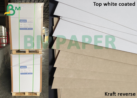 Extra Vlotte 250gsm bedekte Wit met een laag - Hoogste de Voeringskarton van KLB Kraftpapier