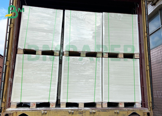100gsm 120gsm wit kraftpapier food grade voor luchtvaartmaatschappij papieren bekers