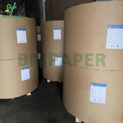 300 gm + 15 g PE bedekte papierbeker voor warme dranken 820 mm 880 mm