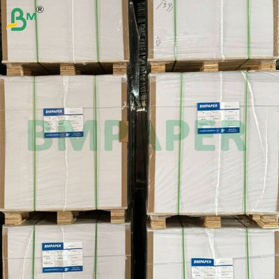 200 gm+10 gm warmtebestendige PE-gecoate koppen papierplaten