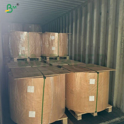 Waterdicht zonwerend 54g 56g Boompapier Voor Fruit