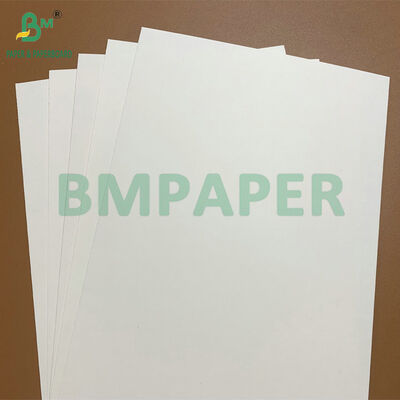 Waterproof & Vetbestendig Voedselkwaliteit 250-350gsm PE gecoat papier voor wegwerpbare voedselbakjes & afhaalcontainers