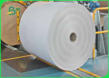 300gsm + Poly de Ethyleen Met een laag bedekt Document van 12g Wit karton in Blad 61 * 86cm FDA