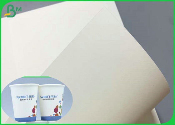 SGS Gediplomeerd 230g 260g PE Met een laag bedekt Cupstock Basisdocument 850mm Broodje
