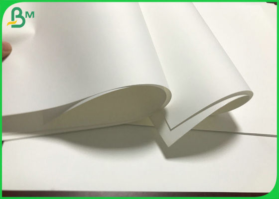 Witte Met een laag bedekte Synthetische Document broodjes 80um aan dik niet de scheurdocument van 350um