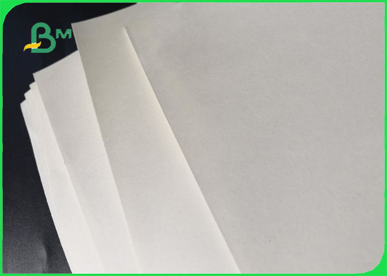Biologisch afbreekbaar PE Gelamineerd Document, Polyethyleen Met een laag bedekt Document 160GSM 10GSM