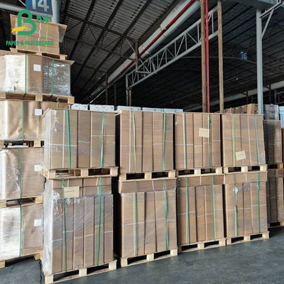 20LB Printing Clearly White Bond CAD Plotter Paper Kertas Teknik 12 inchs 46m