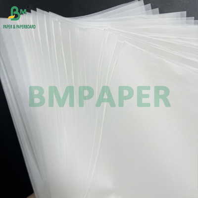12" x 12" 38grs 50grs Witte Vetvast Kebabs Papierplaten Kit 6 Kit 7
