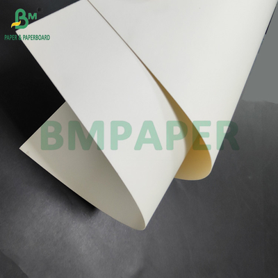 300 gm + 15 g PE-gecoat papier van levensmiddelenkwaliteit voor lunchcontainers 700 x 1000 mm