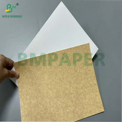 100% voedselveiligheid 325 gram 360 gram bedekt gerecycled papier voor het maken van lunchdoos
