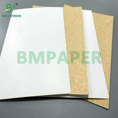 100% voedselveiligheid 325 gram 360 gram bedekt gerecycled papier voor het maken van lunchdoos