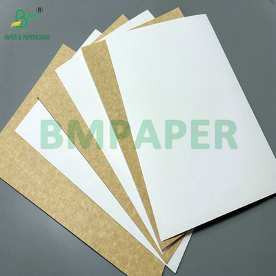 100% voedselveiligheid 325 gram 360 gram bedekt gerecycled papier voor het maken van lunchdoos