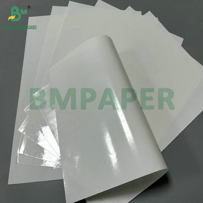 100% waterdicht, glanzend 2 zijden 100 gram PE-gecoat papier voor het maken van zaadverpakkingszakken