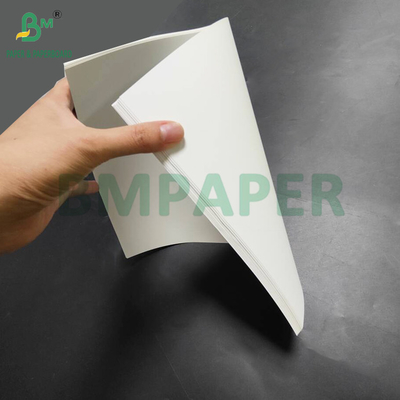 Warmtebestendige 150um PET synthetisch papier voor de achterkant