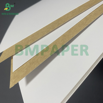 270 gm 300 gm Food Grade bedekt met witte bovenkant KLB Kraft Back Carrier Board 31" 43"
