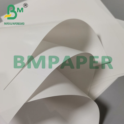 97 g 860 mm Breedte Uitstekend afdrukken Goed inkt absorptie C1S etiket papier