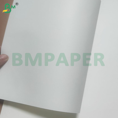 60/120 GSM Straw Paper Roll voor het drinken met aangepaste kleuren