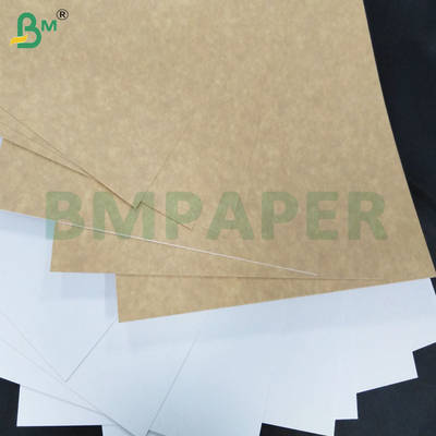 200-360 GSM Vriesbestendig aan één kant gecoate kraftpapierplaat