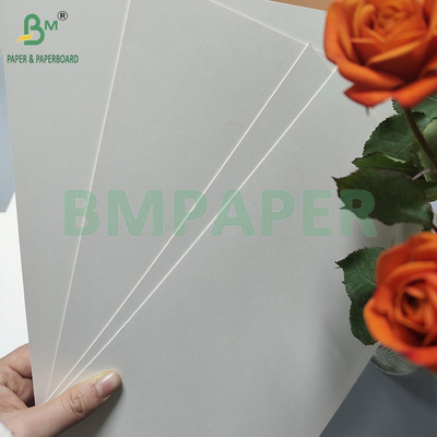 190 gsm 320 gsm+15 gPE bekleed voedselkwaliteit wegwerppapier voor warme koffiebekers