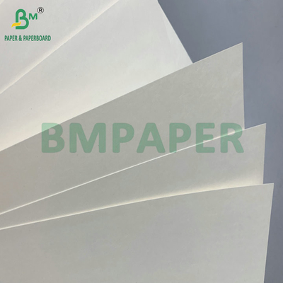 C1S PE Oppervlak 210gm 230gm Cup Paper For Drinks Cup Jumbo Roll
