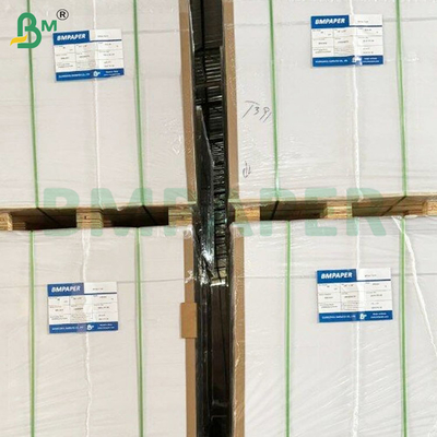 Voedingsmiddelen PE-gecoat, hittebestendig, lekkagebestendige schalen
