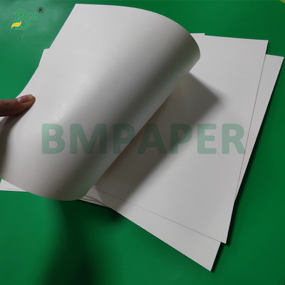 300 gm + 15 g PE bedekte papierbeker voor warme dranken 820 mm 880 mm
