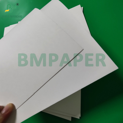 300 gm + 15 g PE bedekte papierbeker voor warme dranken 820 mm 880 mm