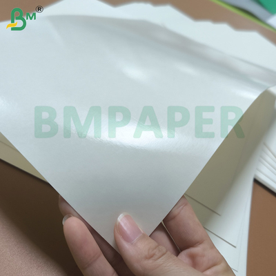 Uitstekend waterbestendig PE-gecoat Cupstock papier
