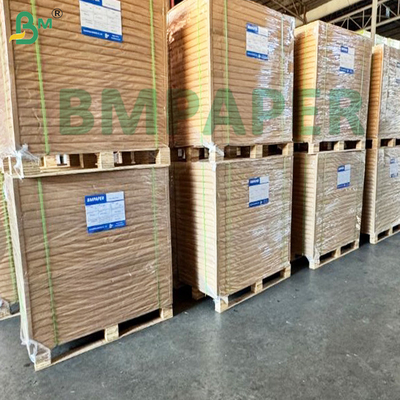 Uitstekend waterbestendig PE-gecoat Cupstock papier
