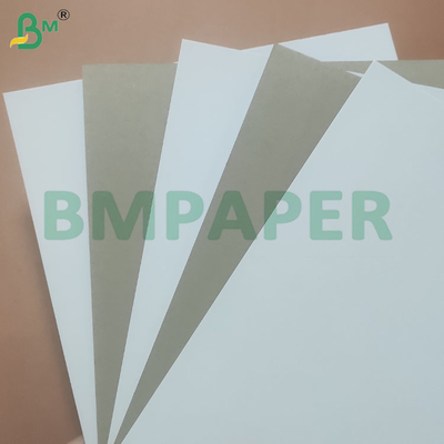 300 gm Recycled Pulp 700*1000 mm Gecoate witgrijze achterbladpapier