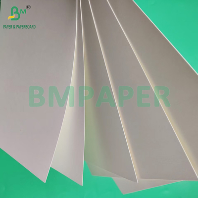 230 g/m260 g/m enkelzijdig PE-gecoat bekerpapier voor het maken van bekerpapier