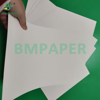 230 g/m260 g/m enkelzijdig PE-gecoat bekerpapier voor het maken van bekerpapier