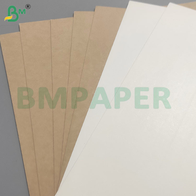 Voedselveiligheid 200+10GSM PET-gecoate papierplaten voor voedselcontainers