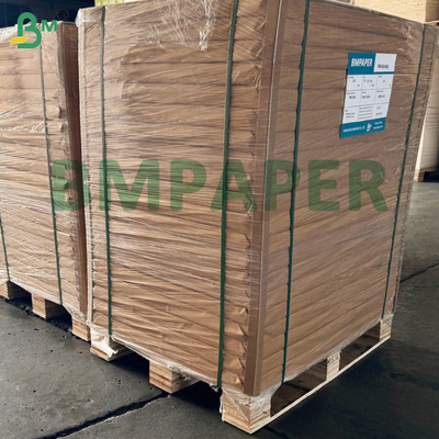 Witte PET-coating Foodservice papier voor papierplaat Vetvast