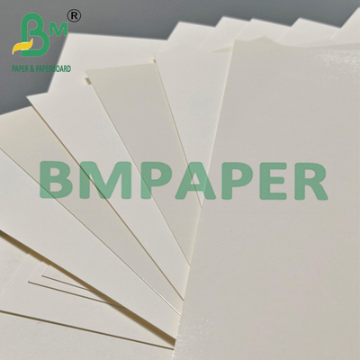 315grams Heat Resistant Disposable PET White Kraft Paper 24" x 36"