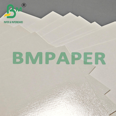 315grams Heat Resistant Disposable PET White Kraft Paper 24" x 36"