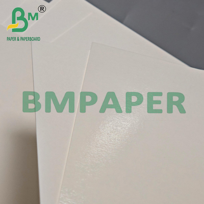315grams Heat Resistant Disposable PET White Kraft Paper 24" x 36"
