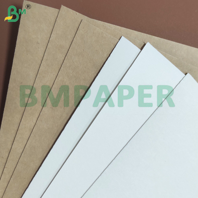 240gsm+10gsm Enkelzijdig PE-gecoat Lekvrij Bekerpapier