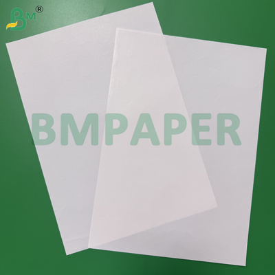 65 - 80 gsm Wit Papier met Hoge Natsterkte voor Drankverpakkingen Enkelzijdig Gecoat Bieretikettenpapier