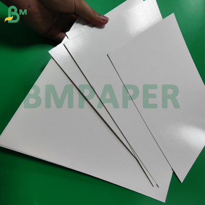 1 / S 295g + 15g PE Gecoat Vriesverse Voedselpapier Voor Garnalenverpakking Vriesbestendig