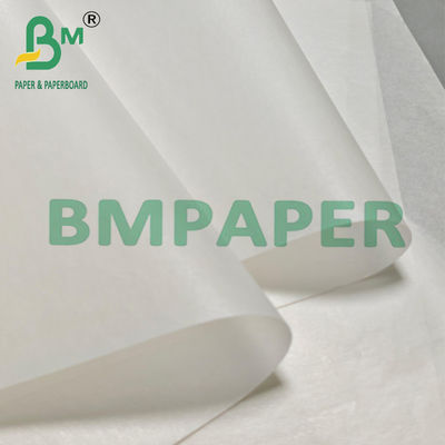 Silicone-gecoat groentepergamentpapier voor het inpakken 24" x 36"