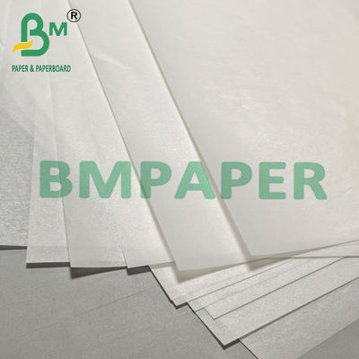 Silicone-gecoat groentepergamentpapier voor het inpakken 24" x 36"