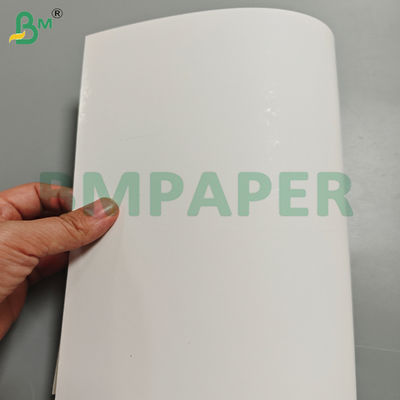 250 grams/m² enkelzijdig gestreken blisterkarton wit voor productverpakking