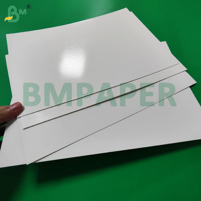 275g + 15g PE gecoat wit karton voor diepgevroren zeevruchten verpakking 1000 x 700 mm