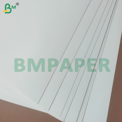 190+10 gram PE-gecoate koppen voor papierrolletjes voor papieren koppen