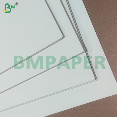 190+10 gram PE-gecoate koppen voor papierrolletjes voor papieren koppen