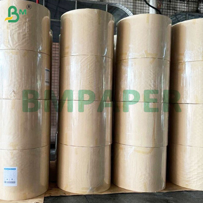 190+10 gram PE-gecoate koppen voor papierrolletjes voor papieren koppen
