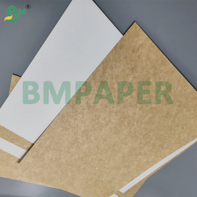275g CKB Coated Kraft Back Board For Beverage Carrier Good Strength 70 x 100cm