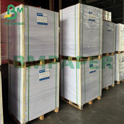 Vetbestendig Gelamineerd Wit Kraftpapier 75gsm voor Bakken van Voedsel 500x600mm
